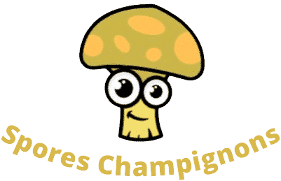 Spores et Champignons logo