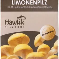 Hawlik Pilzbrut - L'original – Champignon citron vert comme cheville à cultiver soi-même – récolte des champignons frais – 20 chevilles de mycélium pour la culture de pleurote sur bois et paille