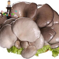 SwansGreen délicieux champignons graines, 100 Pcs graines végétales rares champignons Pleurotus Souches Geesteranus Graine Facile Growing Bricolage Jardin Rouge